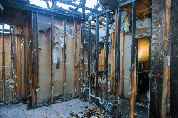 Professional Fire Damage Removal technician working in Andover, MN