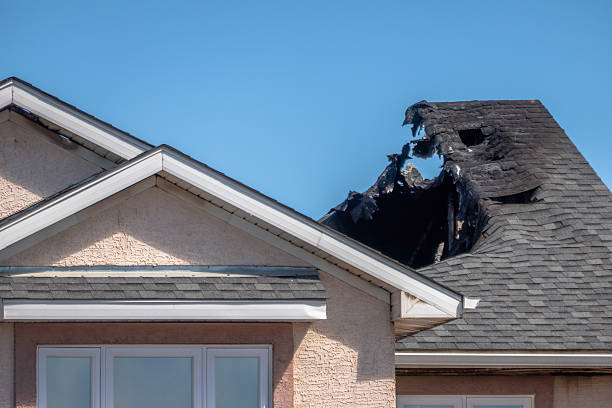 Top rated local Fire Damage Removal specialists in Andover, MN